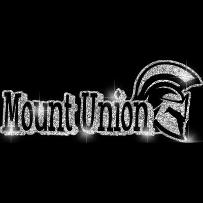 GLT17 SILVER GLITTER Thumbnail